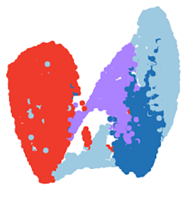 Single-Cell Endothelial Cell Clusters