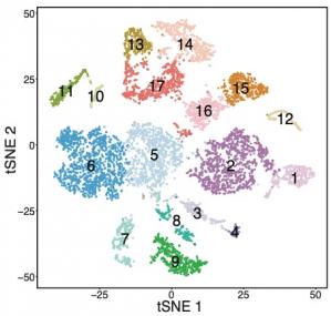 Molecular characterization of foveal versus peripheral human retina by single-cell RNA sequencing